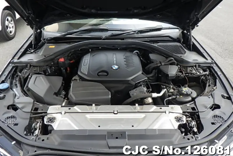 BMW 3 Series in Black for Sale Image 21