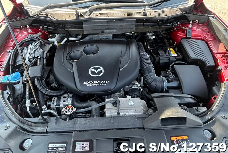 Mazda CX-5 in Red for Sale Image 13