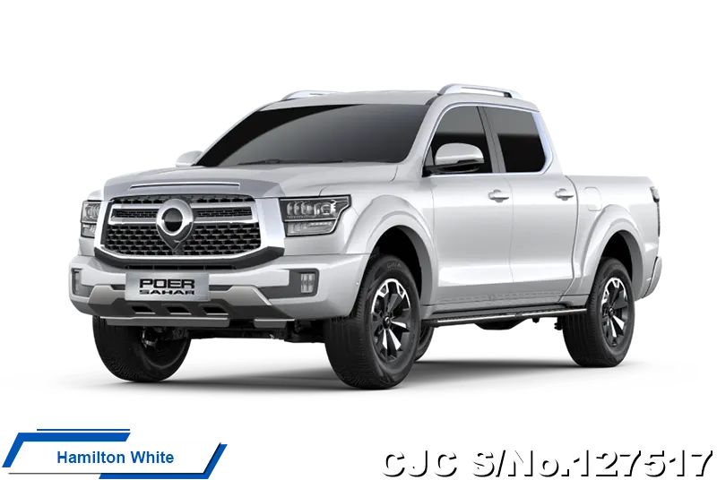 GWM Poer Sahar in Sun Black for Sale Image 1