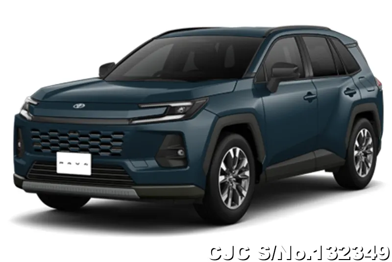 Toyota Rav4 in Massive Gray for Sale Image 3
