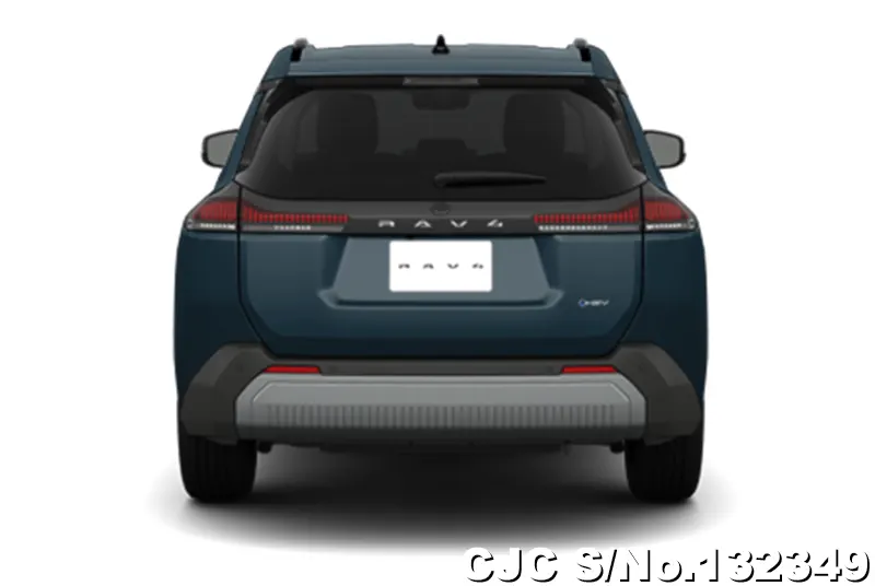 Toyota Rav4 in Massive Gray for Sale Image 5