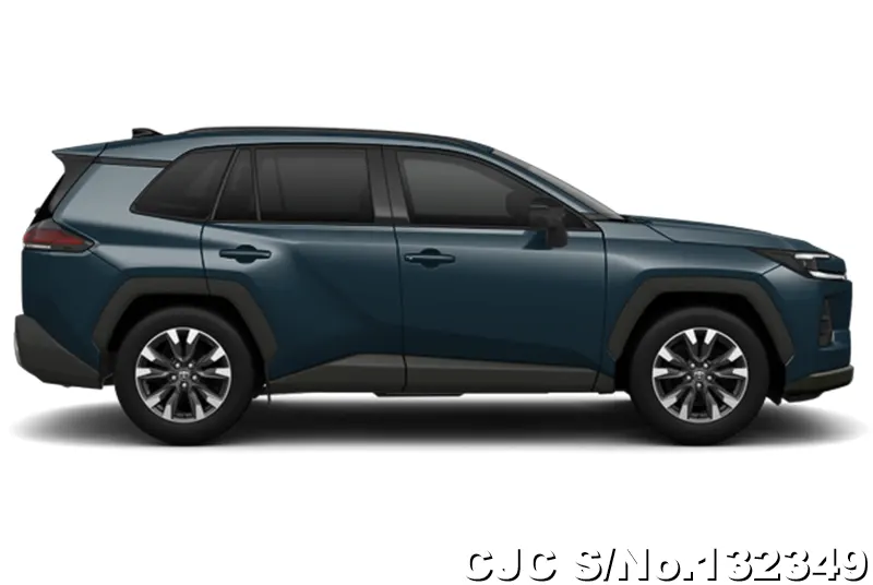 Toyota Rav4 in Massive Gray for Sale Image 6