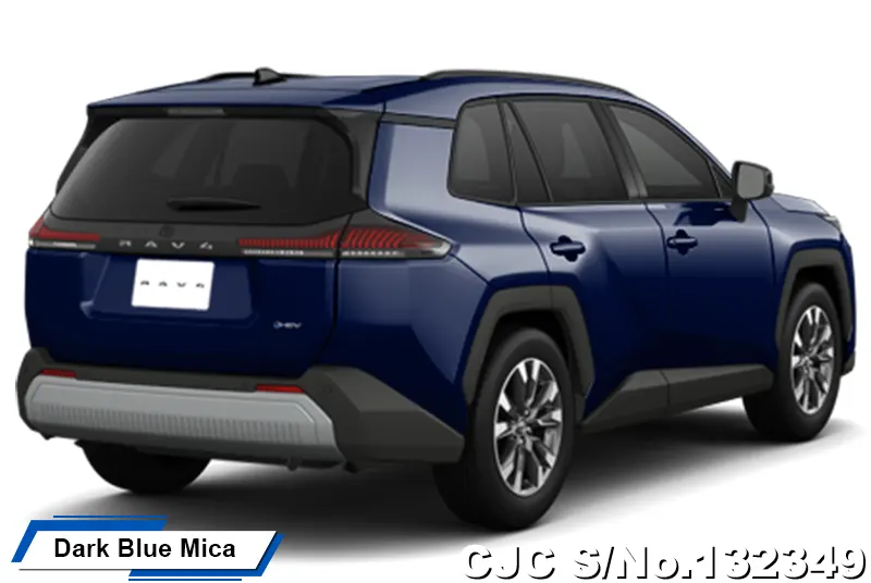 Toyota Rav4 in Massive Gray for Sale Image 17