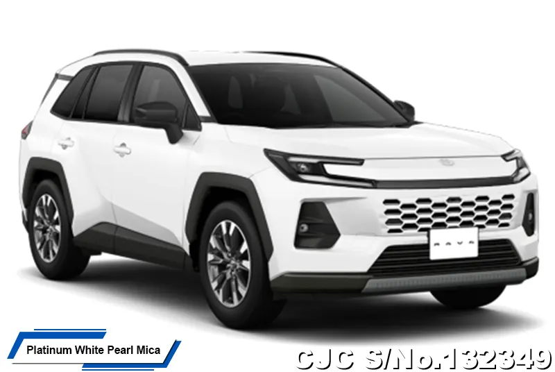 Toyota Rav4 in Massive Gray for Sale Image 18