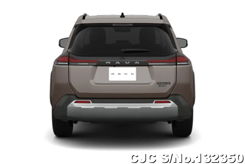 Toyota Rav4 in Urban Rock for Sale Image 5