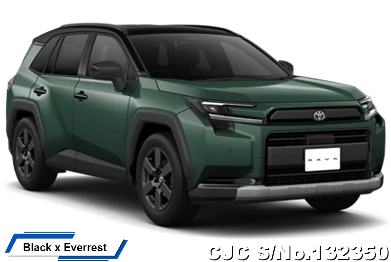 Toyota Rav4 in Urban Rock for Sale Image 13