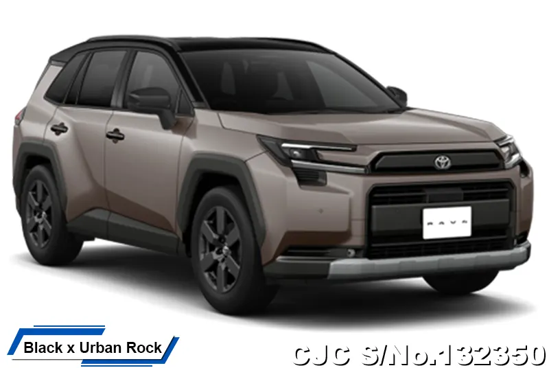 Toyota Rav4 in Urban Rock for Sale Image 15