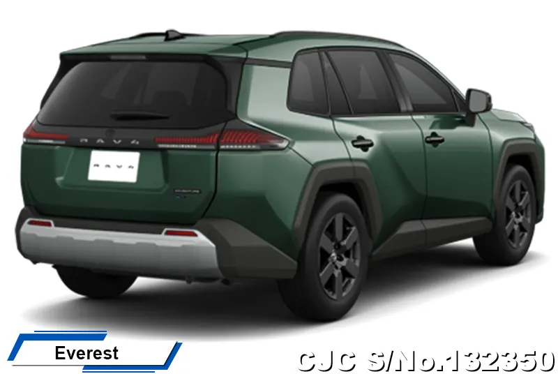 Toyota Rav4 in Urban Rock for Sale Image 18