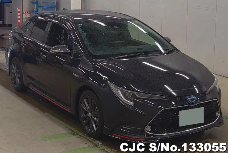 Toyota / Corolla 2020