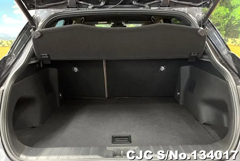 Lexus LBX in Gray for Sale Image 1
