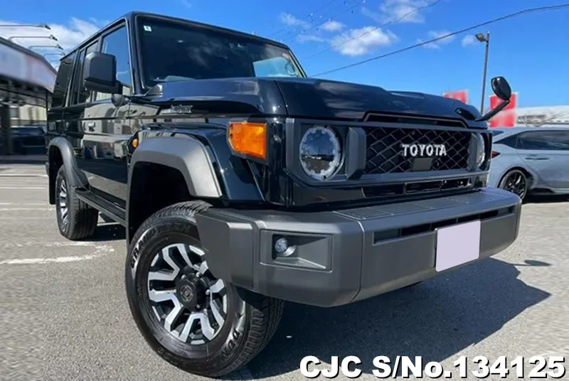 Toyota / Land Cruiser 2024