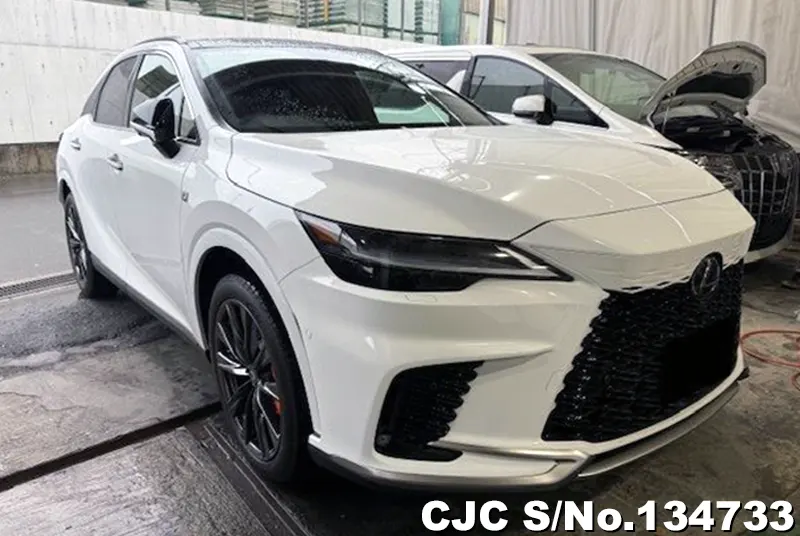 Lexus / RX 350 2025