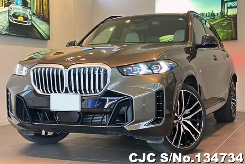 BMW X5 in Gray for Sale Image 3