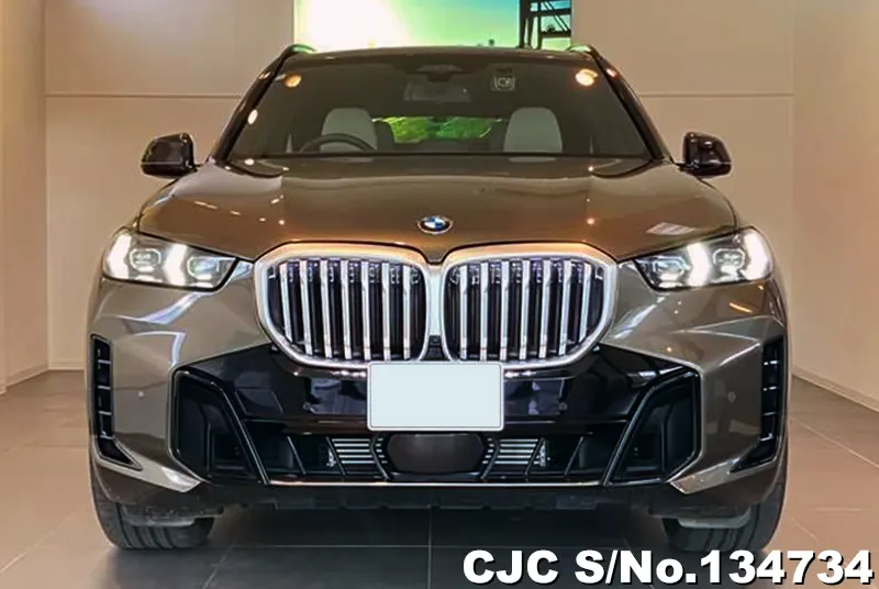 BMW X5 in Gray for Sale Image 4