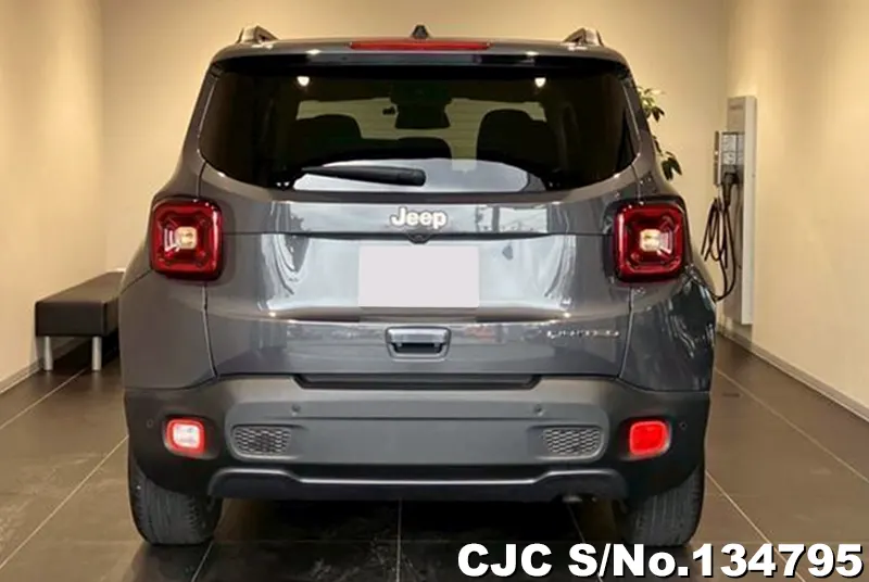 Chrysler Jeep Wrangler in Gray for Sale Image 2