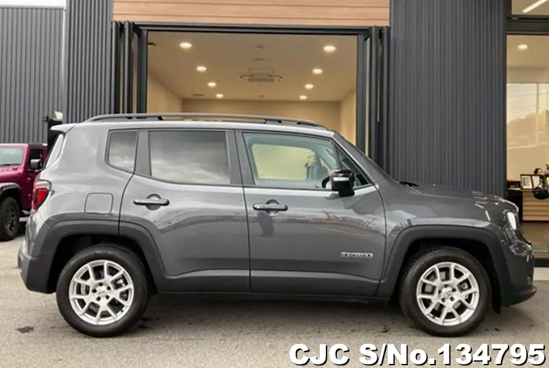 Chrysler Jeep Wrangler in Gray for Sale Image 3