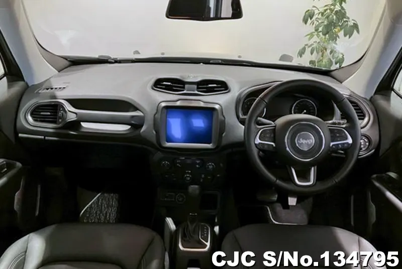 Chrysler Jeep Wrangler in Gray for Sale Image 6