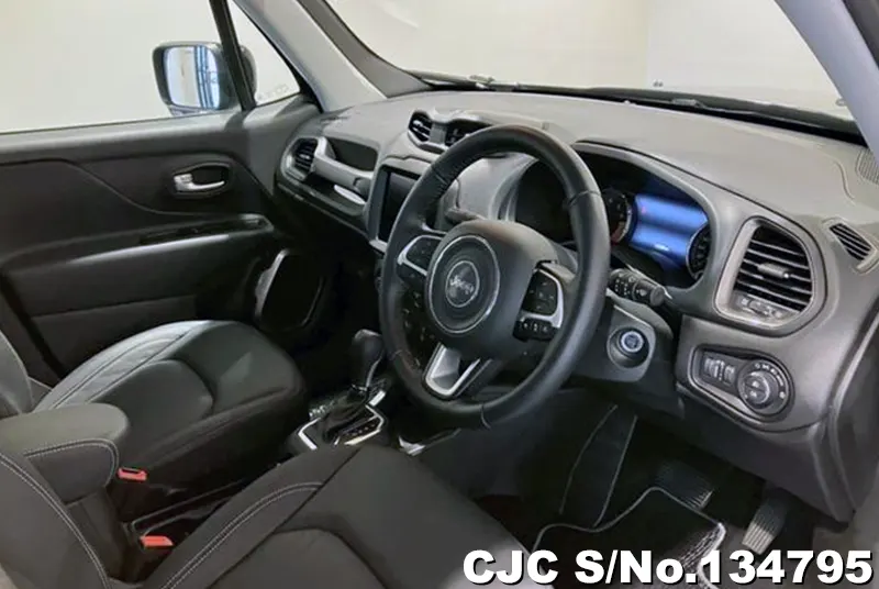 Chrysler Jeep Wrangler in Gray for Sale Image 7