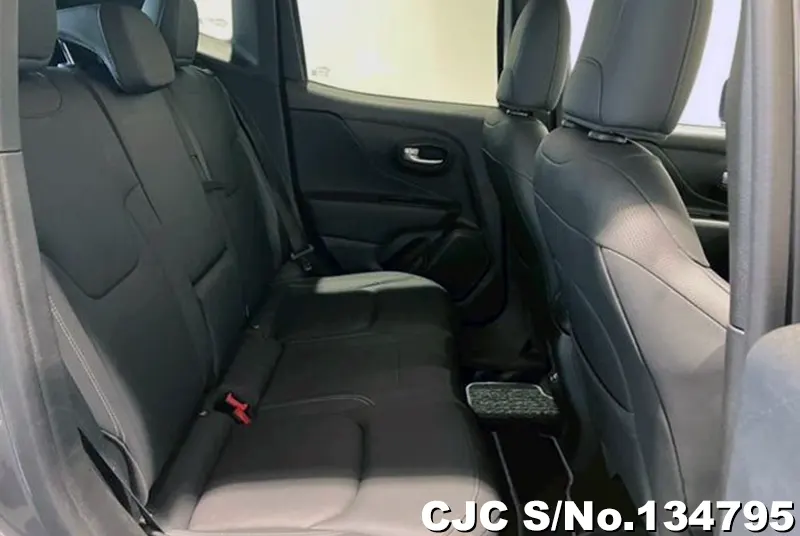 Chrysler Jeep Wrangler in Gray for Sale Image 9