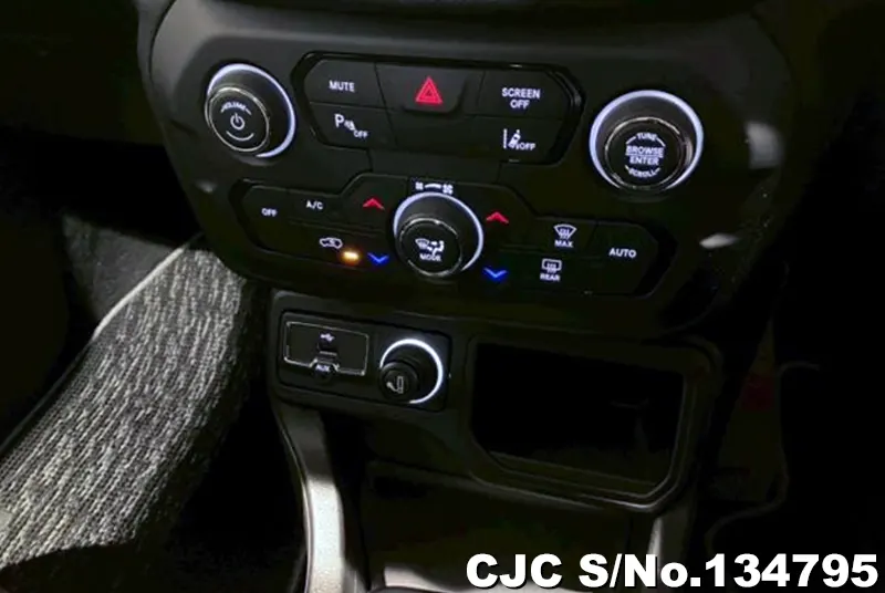 Chrysler Jeep Wrangler in Gray for Sale Image 12