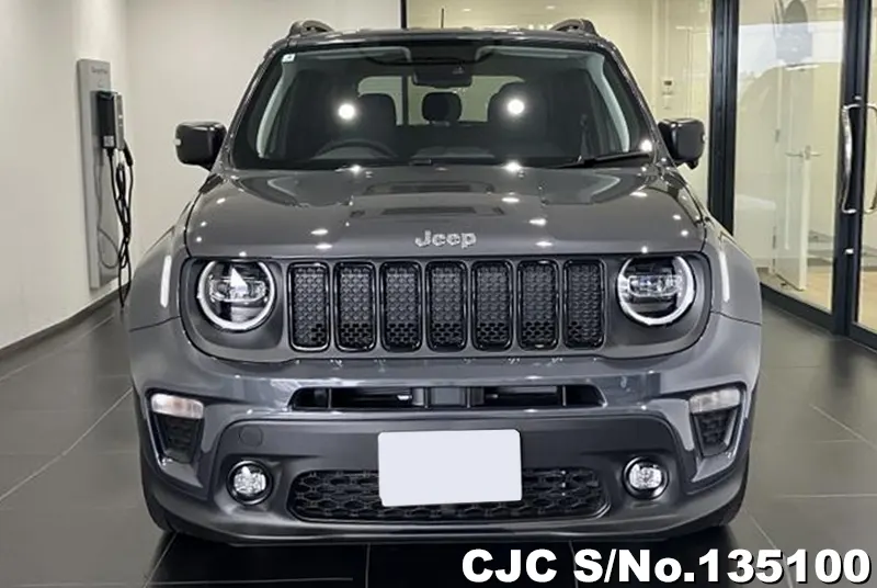 Chrysler Jeep Renegade in Gray for Sale Image 1