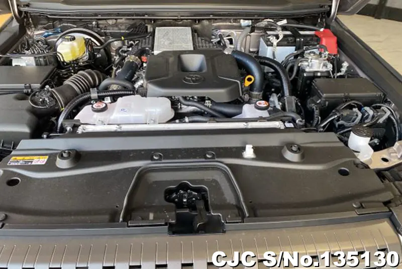 Toyota Land Cruiser 250 in Gray for Sale Image 17