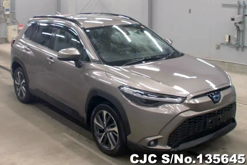 Toyota / Corolla Cross 2023