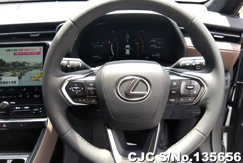 Lexus LBX in Gray for Sale Image 14
