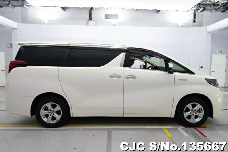 Toyota Alphard in White for Sale Image 6