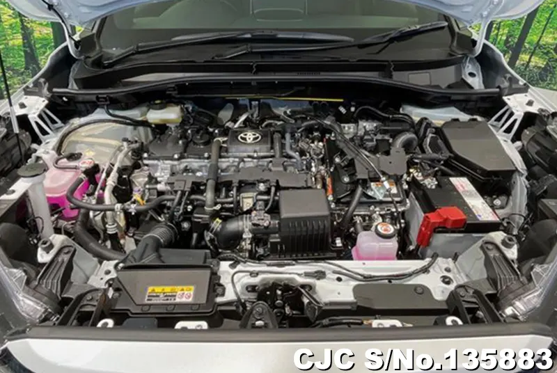 Toyota Corolla Cross in Pearl for Sale Image 10