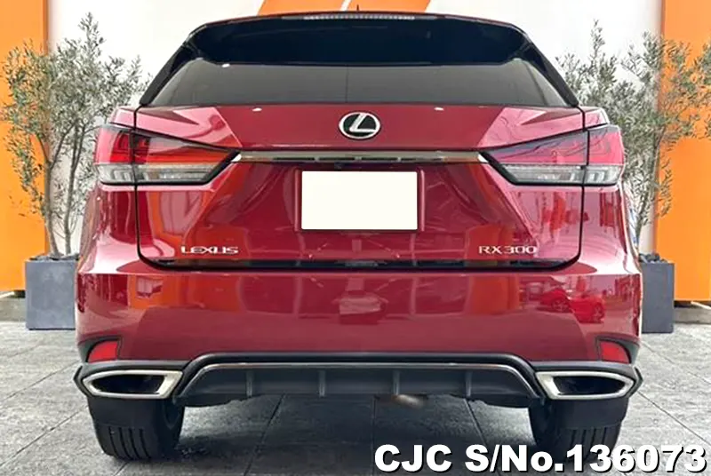 Lexus RX 300 in Red for Sale Image 5