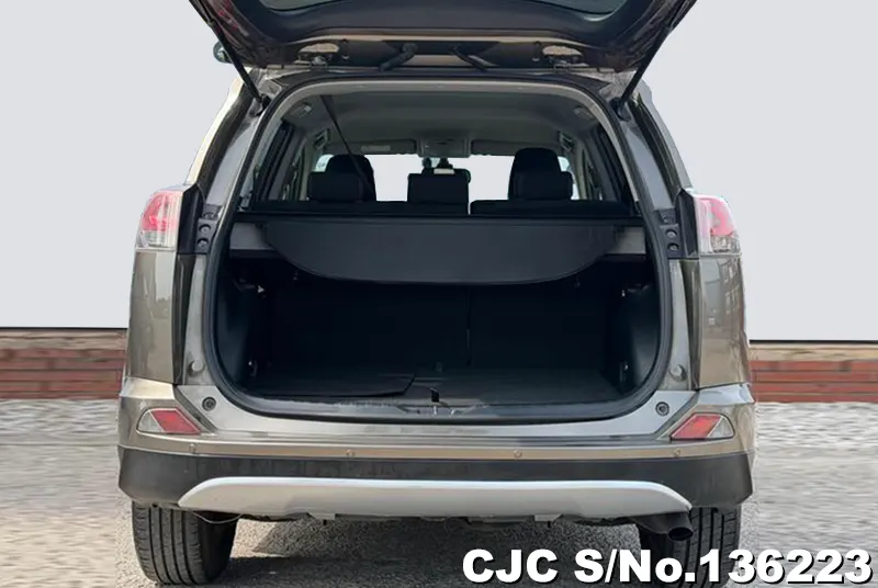 Toyota Rav4 in Beige for Sale Image 6