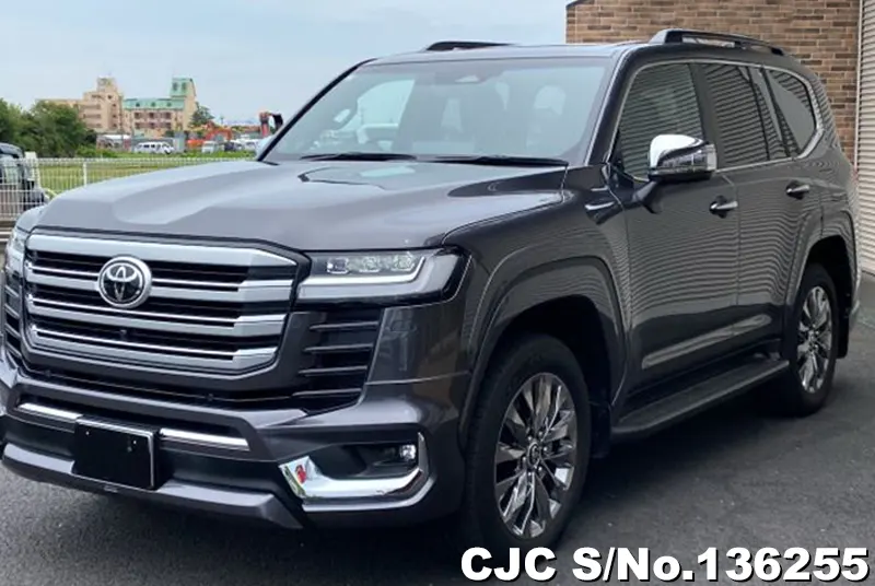 Toyota Land Cruiser in Gray for Sale Image 3