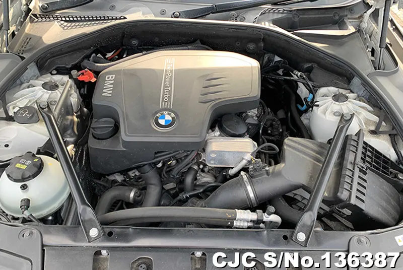 BMW 5 Series in Pearl for Sale Image 8