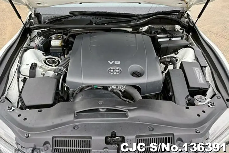 Toyota Mark X in White for Sale Image 12
