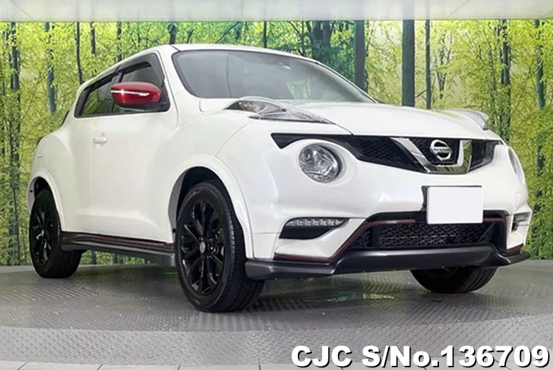 Nissan / Juke 2018