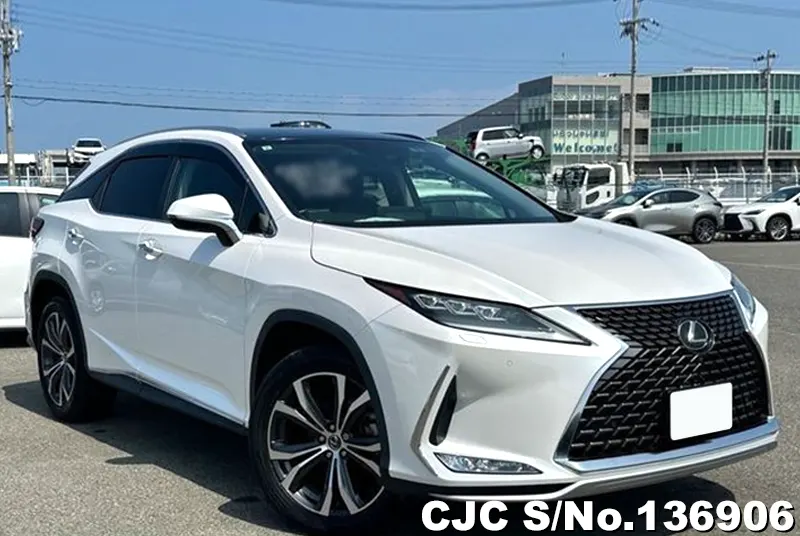Lexus / RX 300 2021