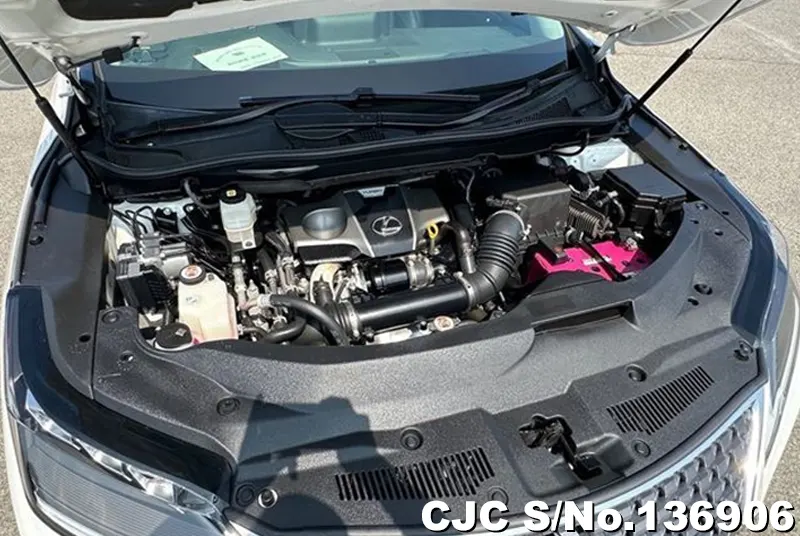 Lexus RX 300 in Pearl for Sale Image 23