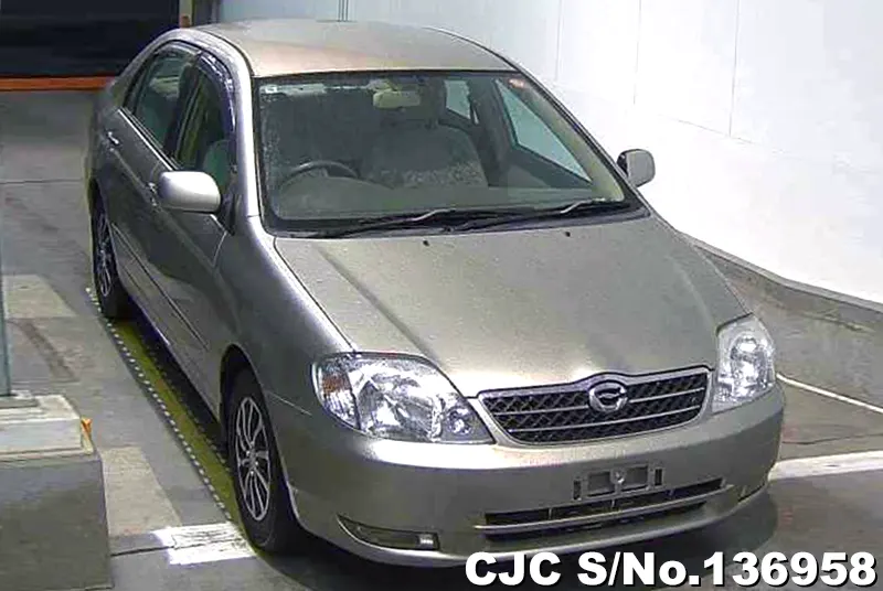 Toyota / Corolla 2000
