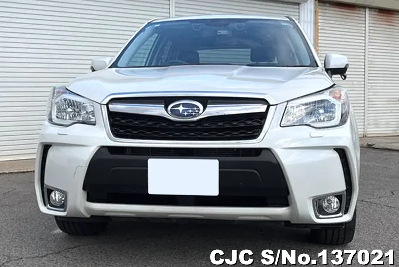 Subaru Forester in White for Sale Image 2