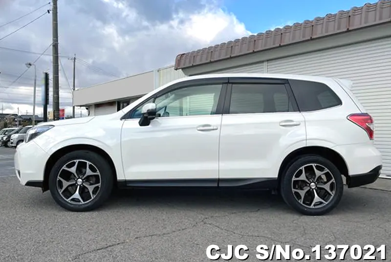 Subaru Forester in White for Sale Image 5