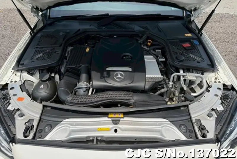 Mercedes Benz C Class in White for Sale Image 18