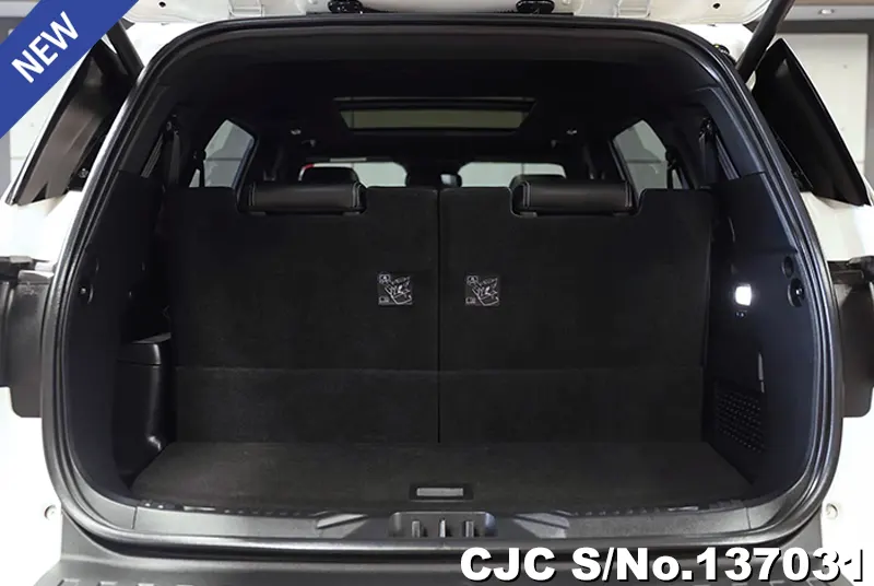 Ford Everest in White for Sale Image 4