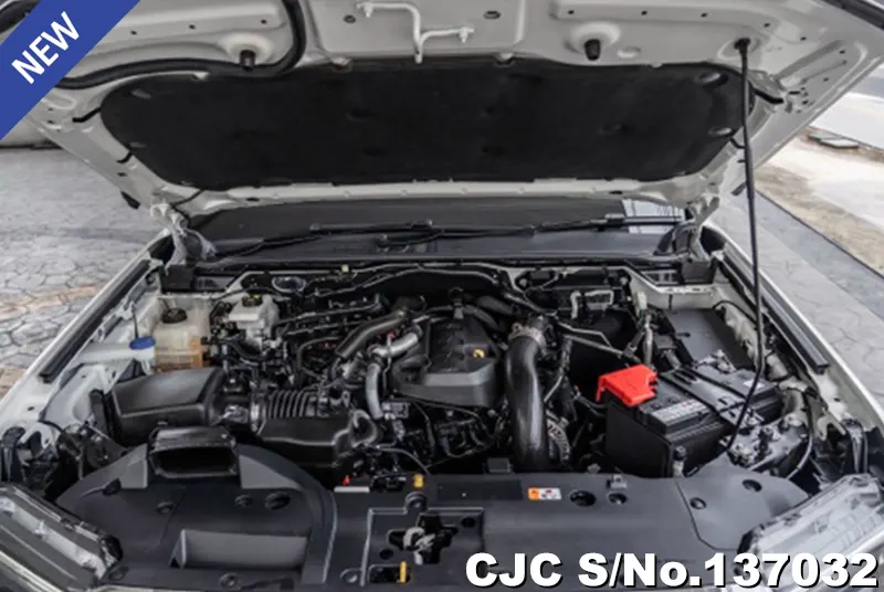 Ford Everest in White for Sale Image 14