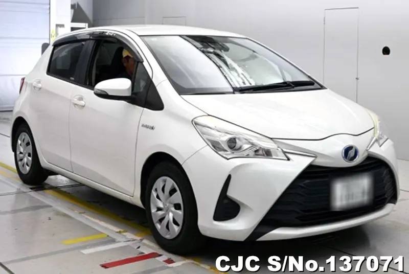 Toyota / Vitz 2017