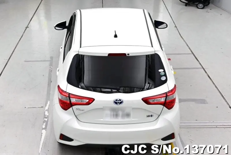 Toyota Vitz in White for Sale Image 5