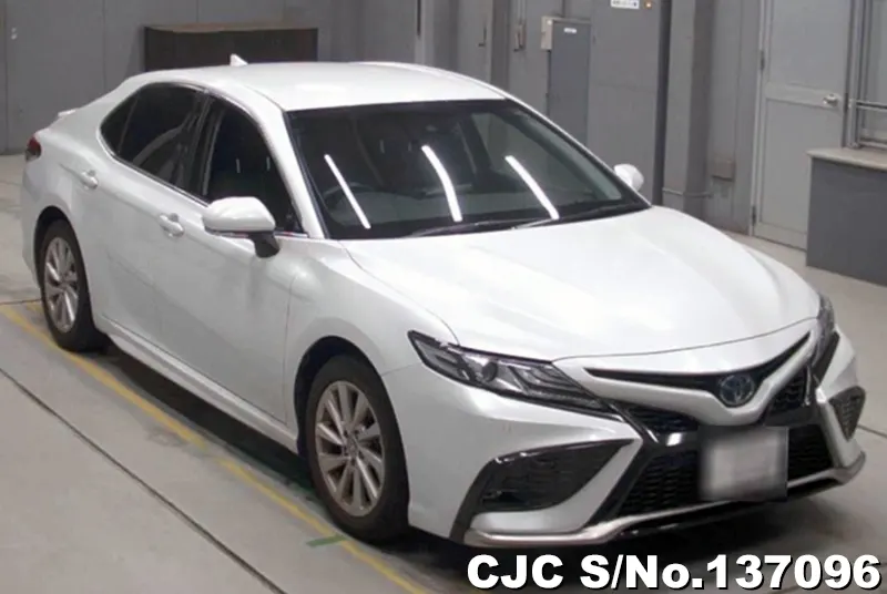 Toyota / Camry 2022