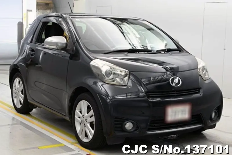 Toyota / IQ 2013