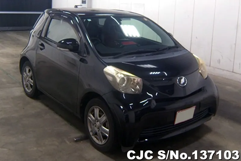 Toyota / IQ 2010