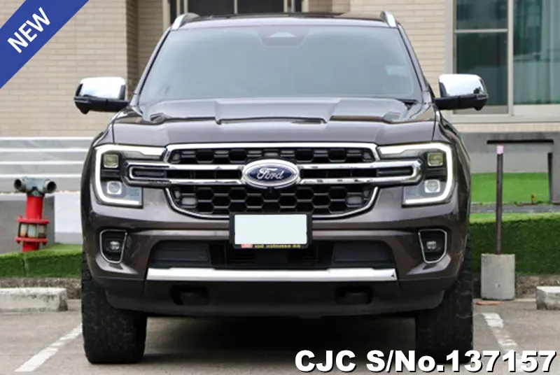 Ford Everest in Brown for Sale Image 3